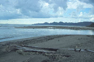 A&ntilde;asco