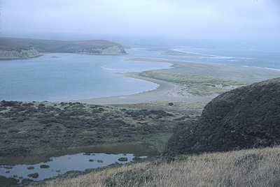 Drake's Estero, California
