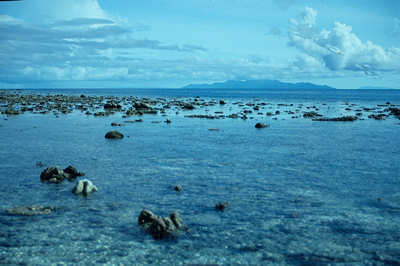 A ground-level view of the reef