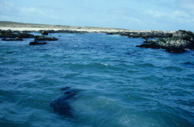 Mocha Island, Chile