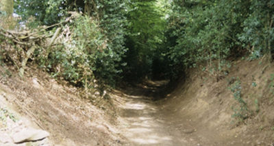 Highfield Lane